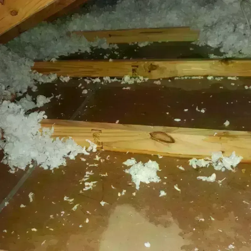 Attic Water Damage in Real County, TX