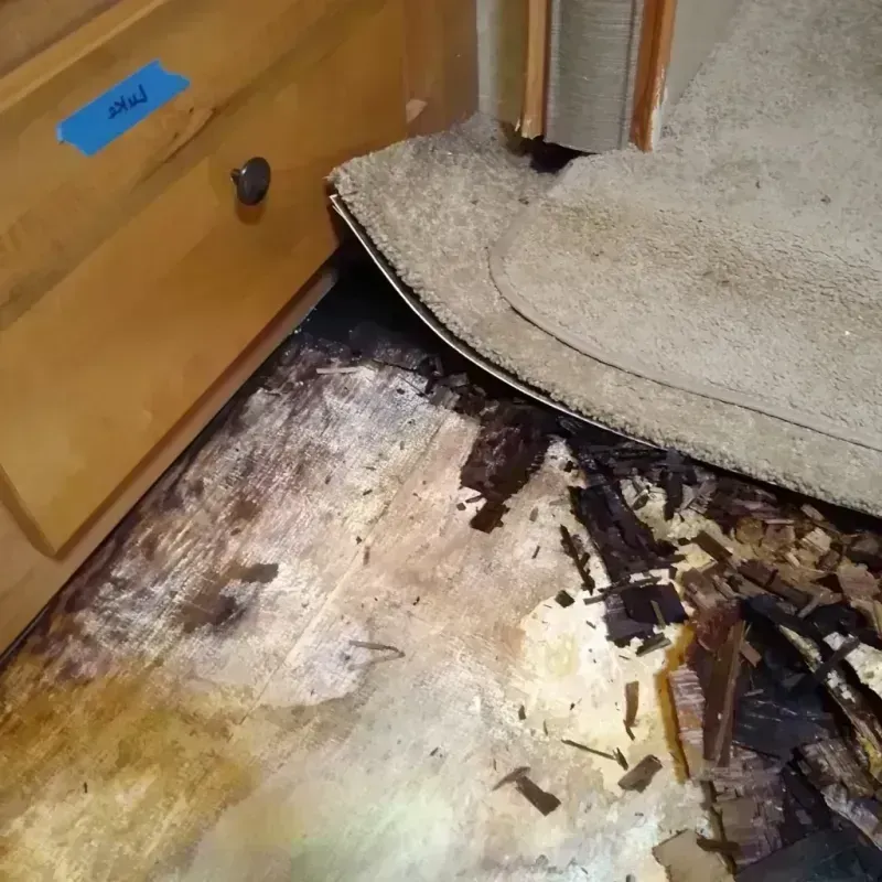 Wood Floor Water Damage in Real County, TX